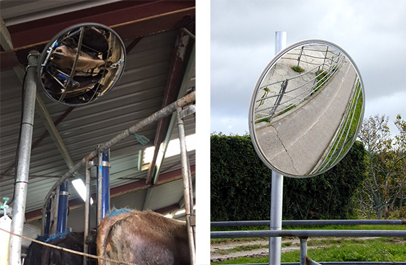Dairy Shed Mirror
