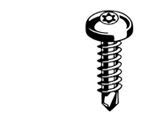 Torx Screw