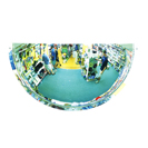 Indoor Half Dome Convex Mirror